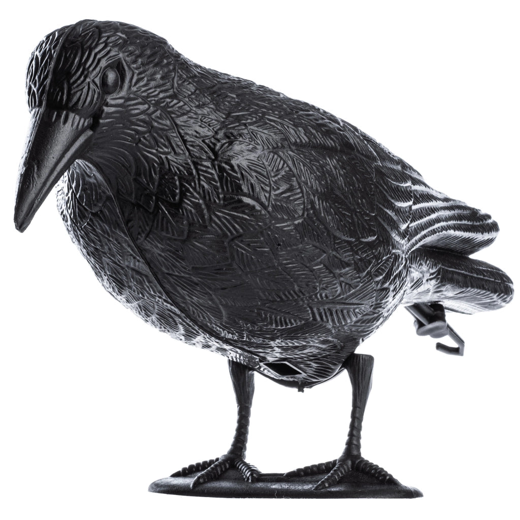 KADAX Dissuasore per uccelli Raven, piccioni e storni, grande, per balconi, per piccioni e uccelli, XXL