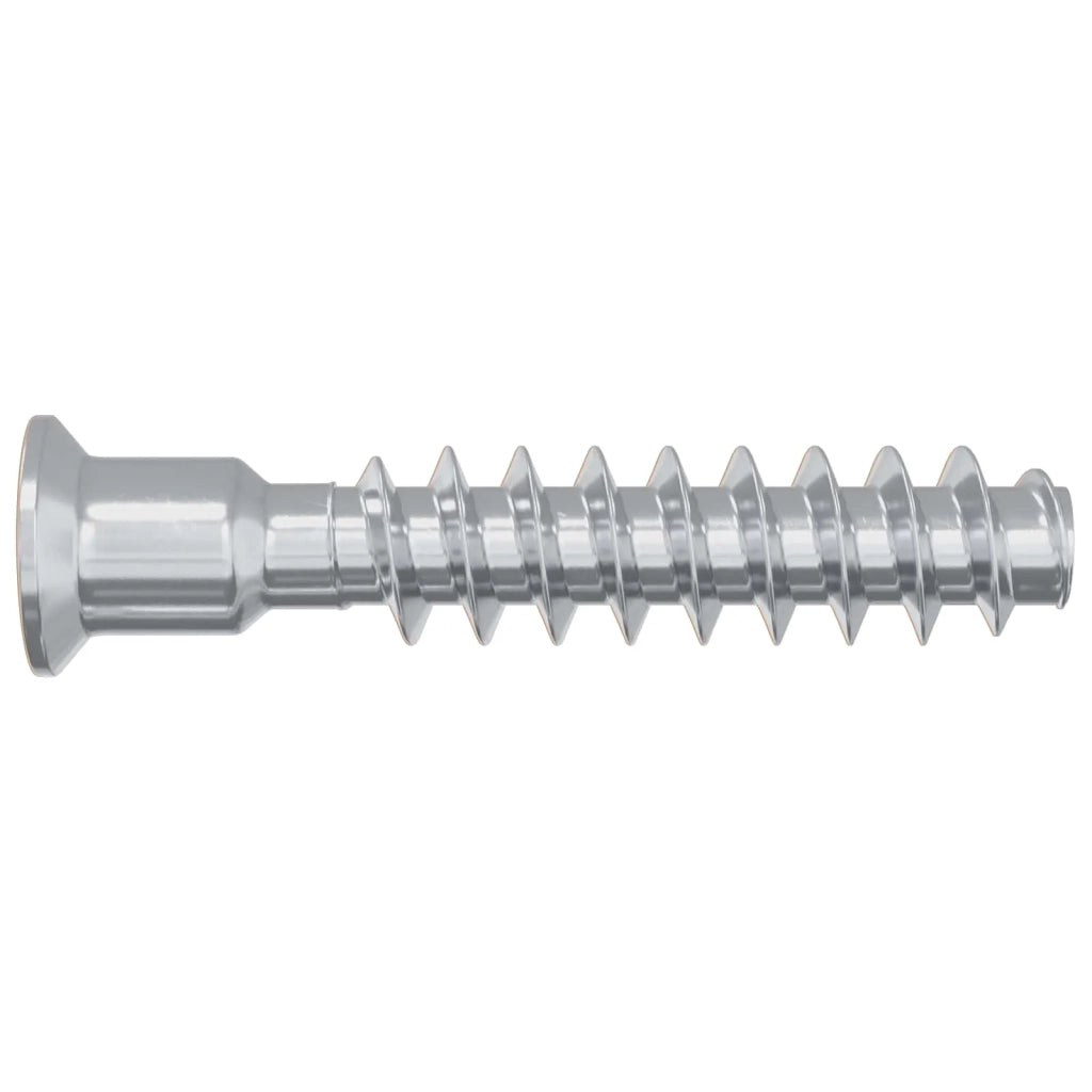 Vite a testa cilindrica 2900 pz Argento Acciaio CFW8810006