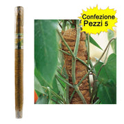 Tutori muschiati piante rampicanti e in vaso 5 pezzi 80 mm x altezza 100 cm