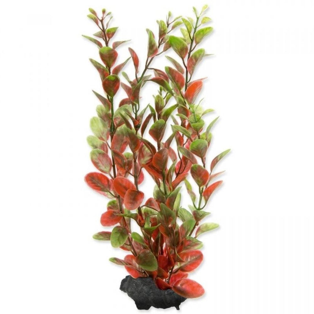 Tetra Pianta Decorativa in Plastica Modello Red Ludwigia (Ludwigia Repens) varie misure Modello: M