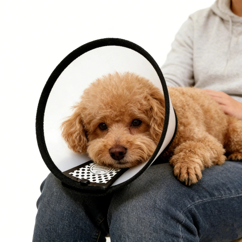 Collare Elisabettiano Regolabile per Cani e Gatti ¨C zephmum ¨C Nero