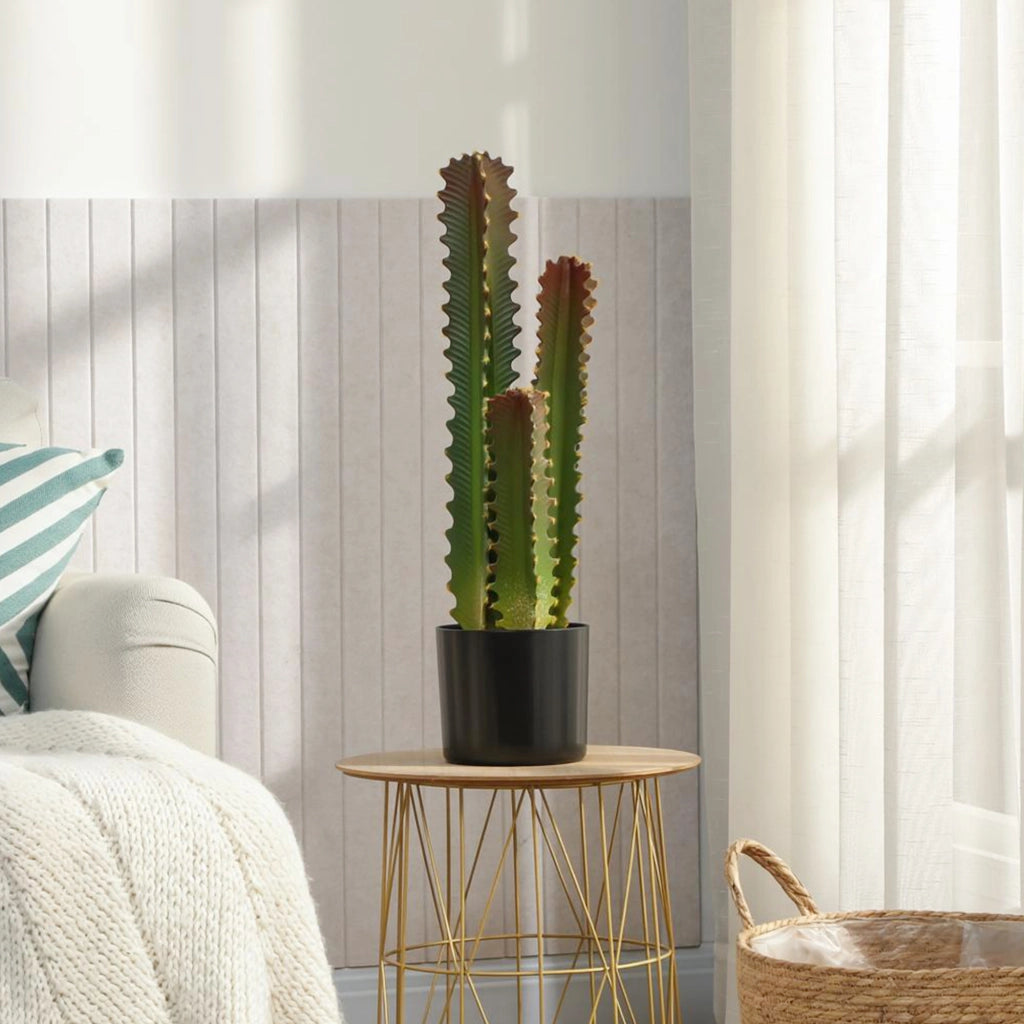 Cactus Artificiale Decorativo ¨C Xylo ¨C 66 cm con Vaso e 3 Foglie Verde
