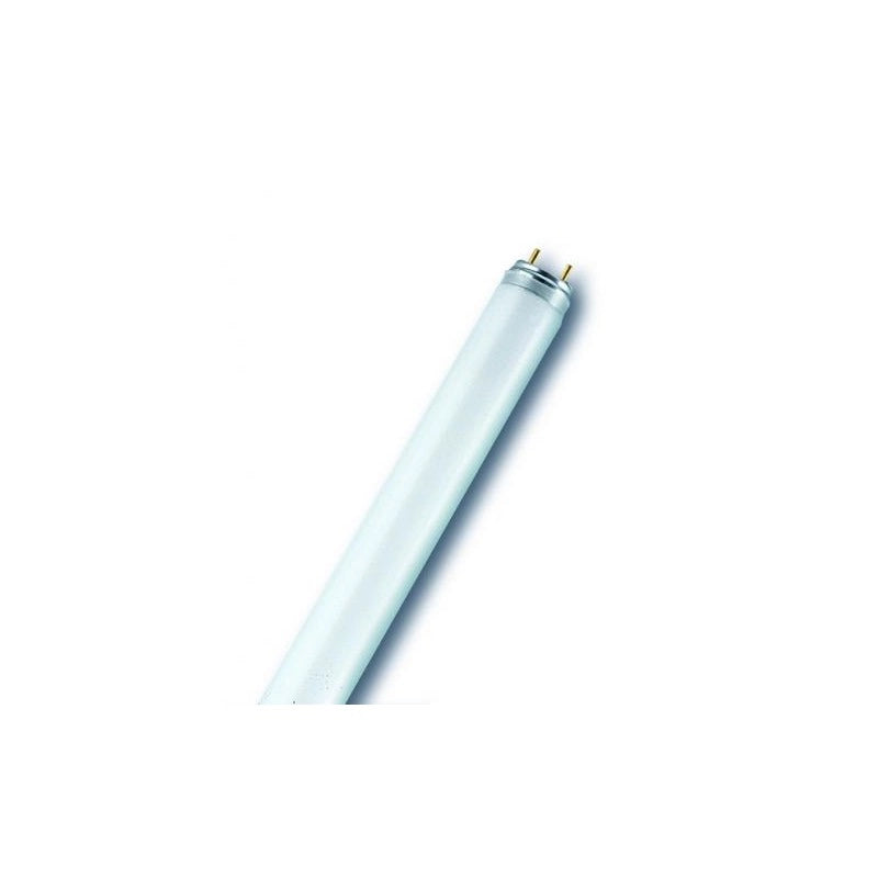 Neon Osram Nl-T8 51W/840