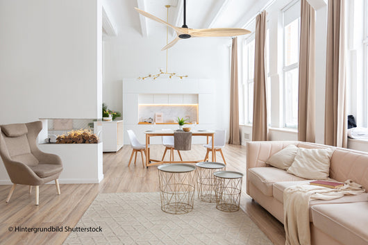 ECO AIRSCREW 152, Ventilatore senza Luce, CasaFan