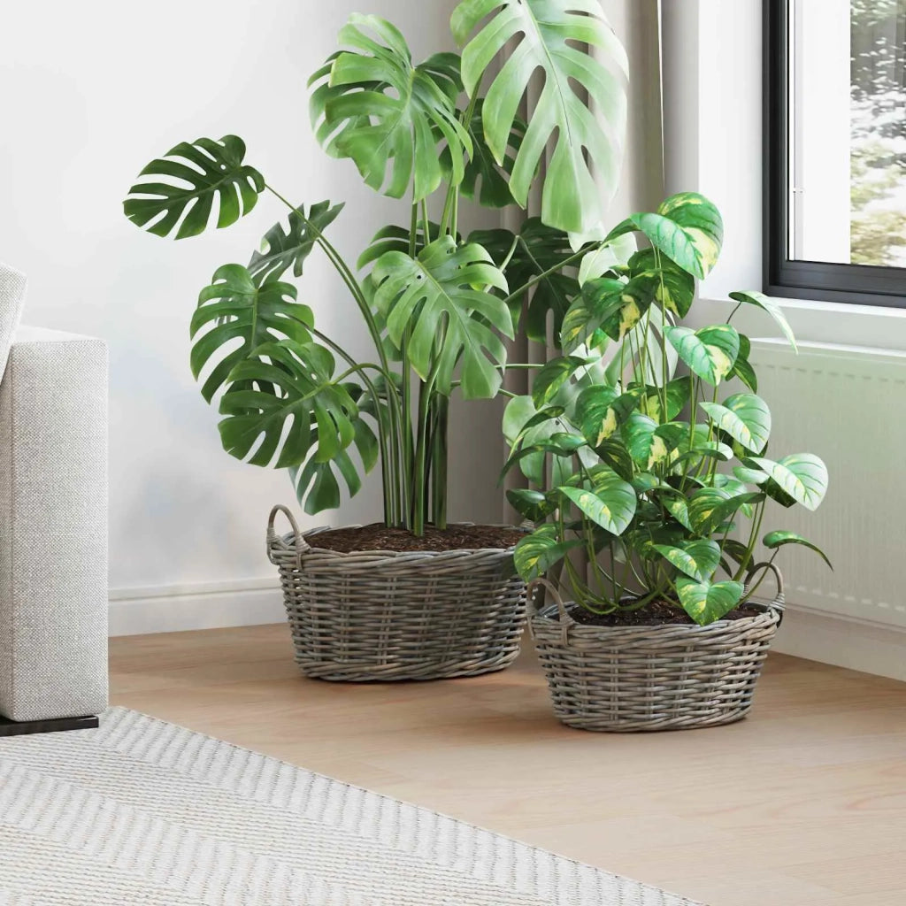 Cesto per Piante con archiviazione 2 pcs Grigio Rattan Lacak