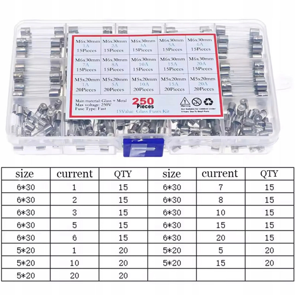 Set di Fusibili in Vetro WTA FuseBox Pro 250 – 250 Pezzi | 250V | 1A-20A | 5x20 mm + 6x30 mm | Rapida Reazione
