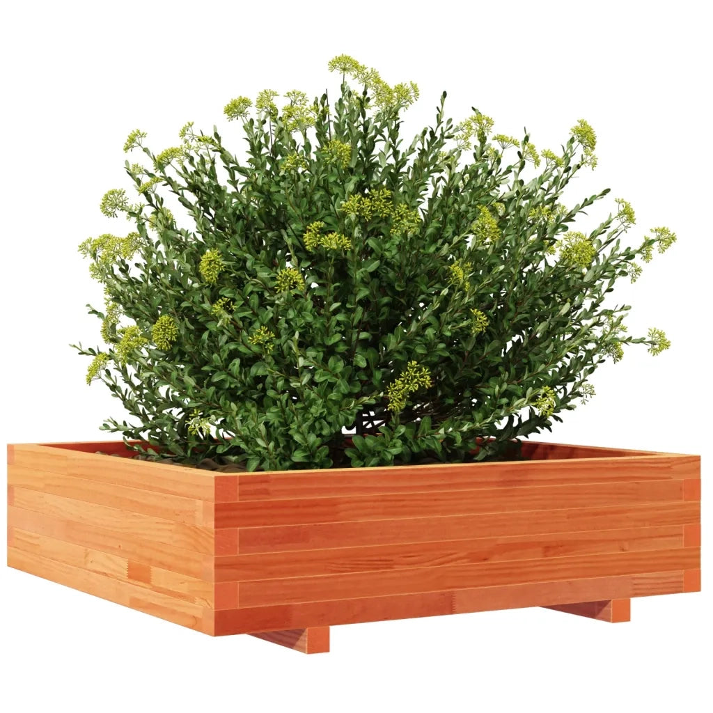 Fioriera Giardino Marrone Cera 90x90x26,5cm Legno Massello Pino 847315