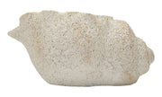 Vaso Shell Sand 35x23x18 cm in Mgo Beige