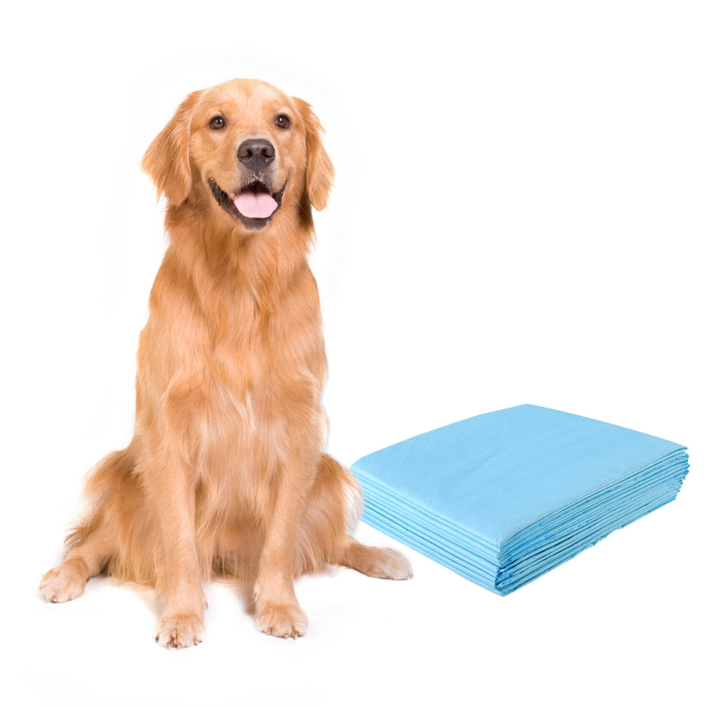 Traverse usa e getta con controllo odore, Traverse con asciugatura rapida per cani gatti conigli 76 x 91 cm-Giochi e accessori per cani