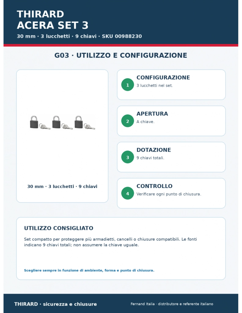 Set di 3 lucchetti ACERA grigi 30 mm, 9 chiavi – SERRUPRIX