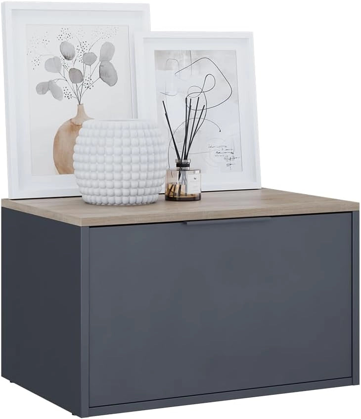 Credenza Betti, Antracite/Sonoma, 60 x 36 cm con porte, adatto per la conservazione in soggiorno o in camera da letto