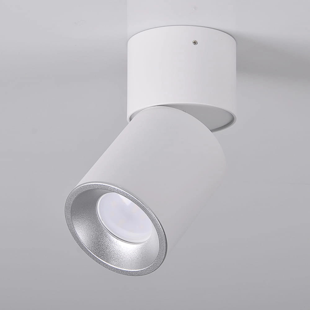 Spot da superficie orientabile GU10 bianco/argento Astra Polux