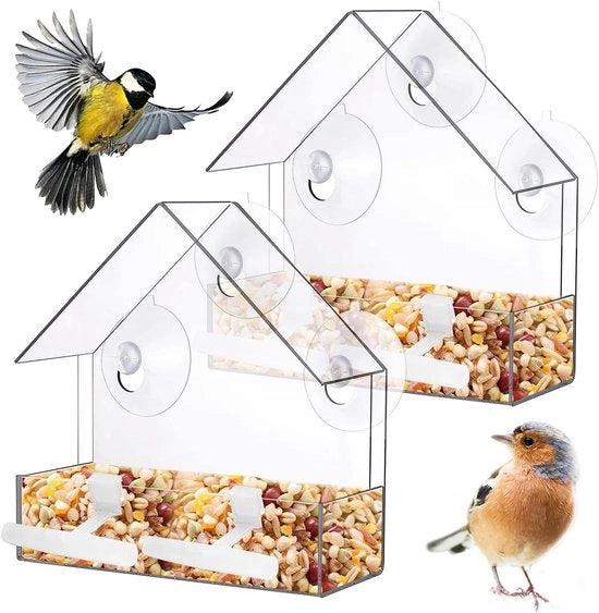 Vitamine e cibo per uccelli selvatici per piccoli passeri, robin e coda di rondine con beccuccia e palo da appoggio