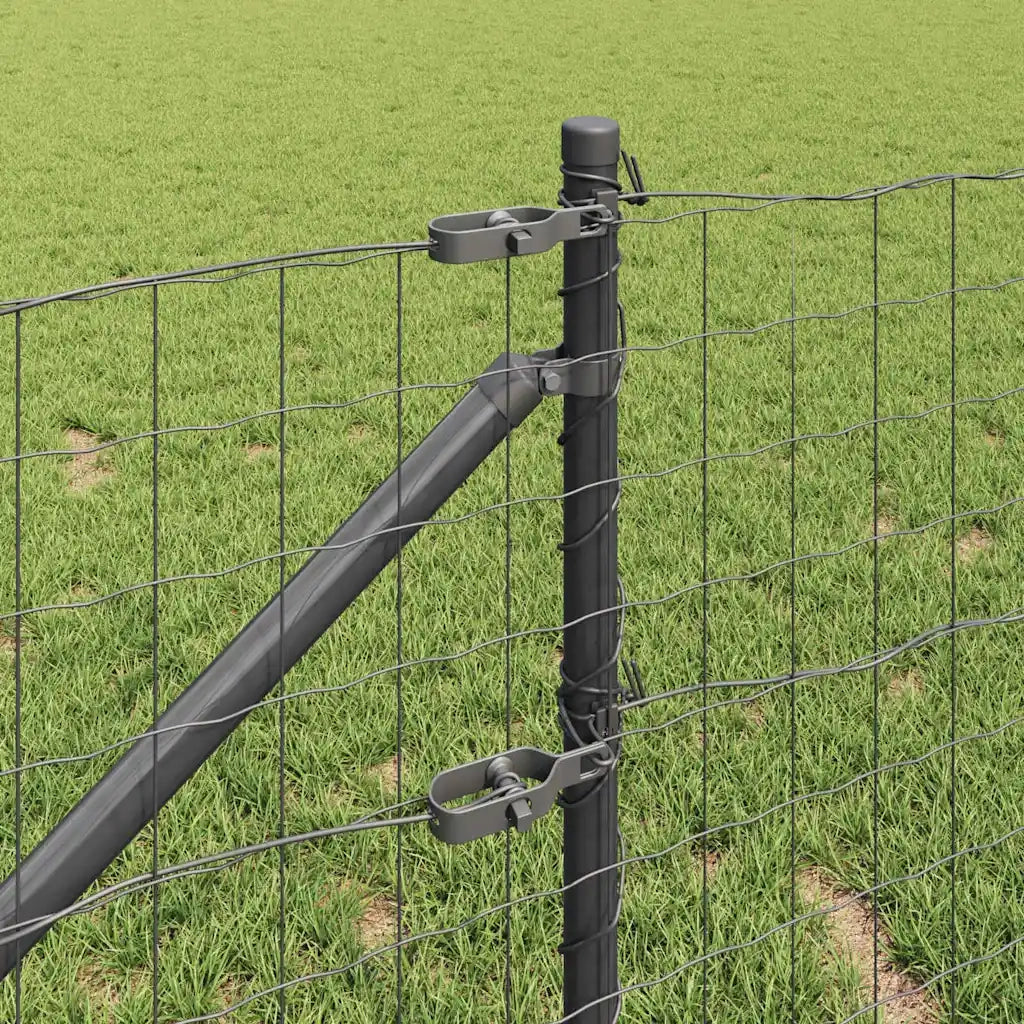 Recinzione con Posto Grigio 1 x 10 m Acciaio