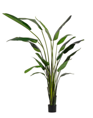 Pianta Artificiale Strelitzia 180x140x310 cm in Plastica con Vaso Verde