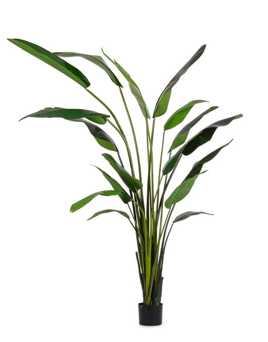 Pianta Artificiale Strelitzia 180x140x310 cm in Plastica con Vaso Verde