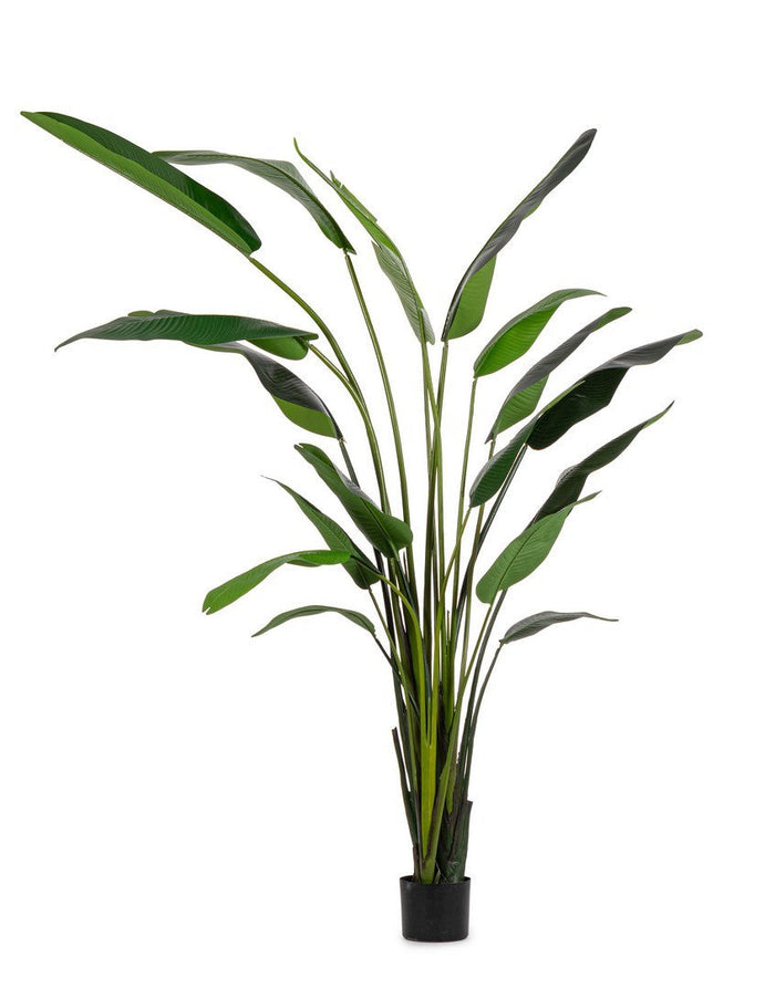 Pianta Artificiale Strelitzia 180x140x310 cm in Plastica con Vaso Verde