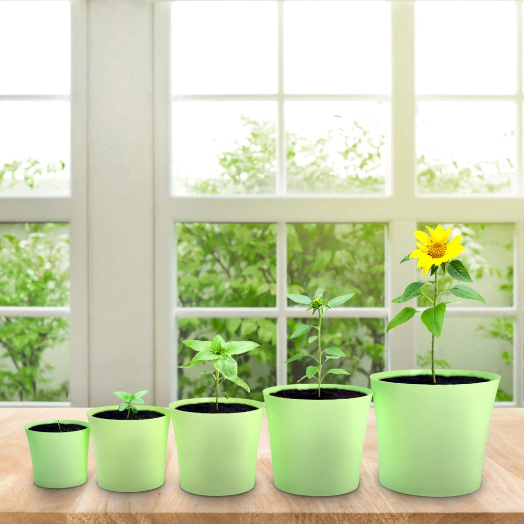 Vaso da fiori KADAX Ersa 8 cm verde pastello