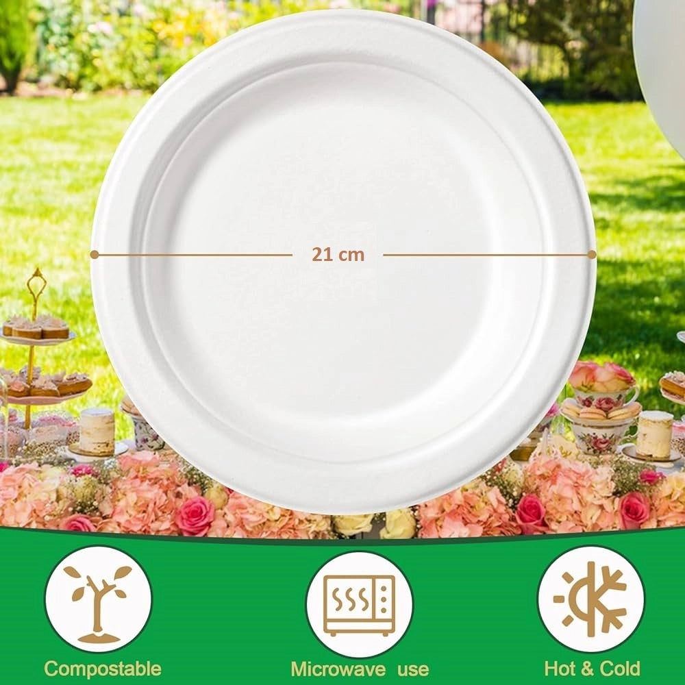 Piatti Monouso Fondo 100pz 21cm 100% Biodegradabili Bianco Casa Bar Ristorante