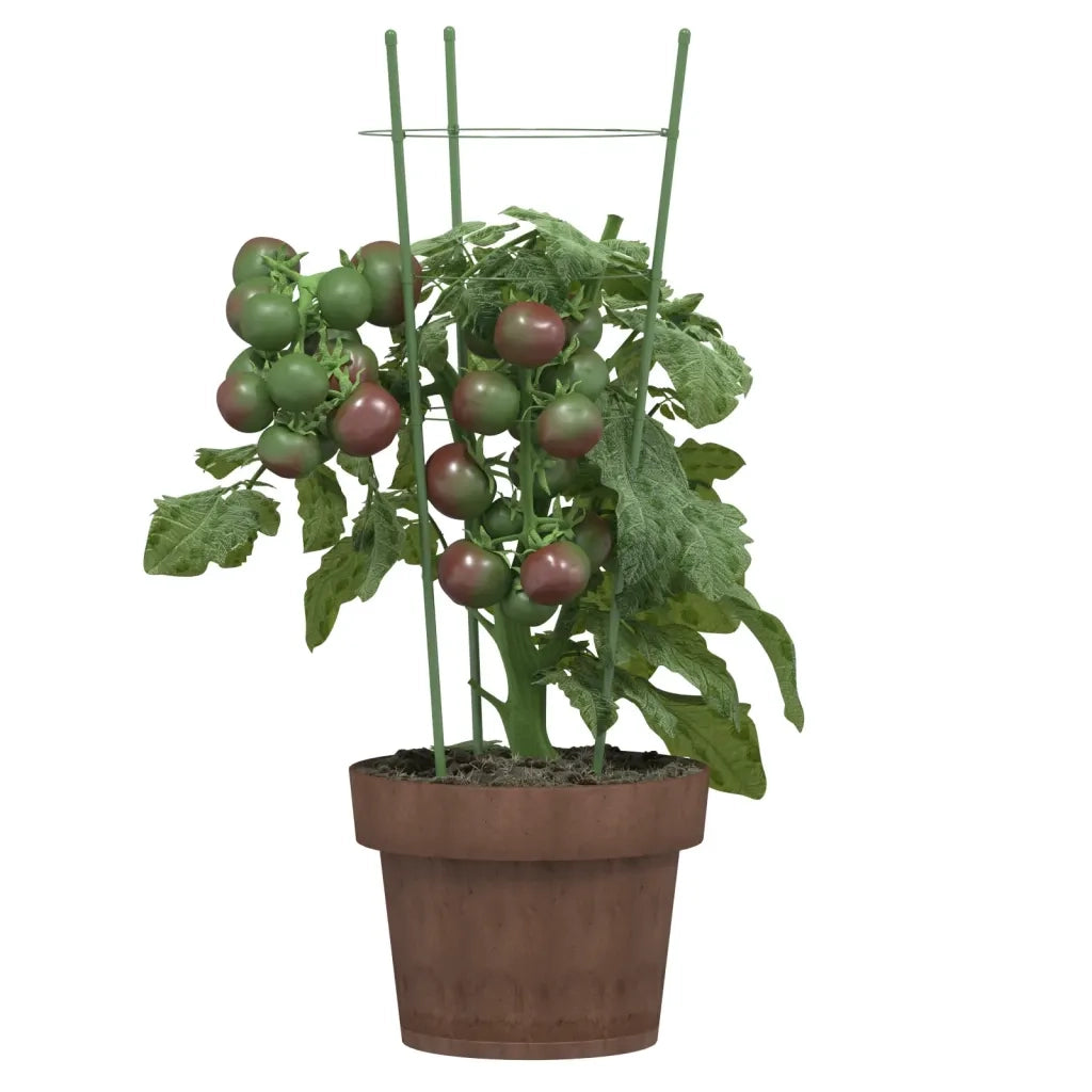 Supporti Piante da Giardino con 3 Anelli 5 pz Verde 45cm Acciaio CFW1963005