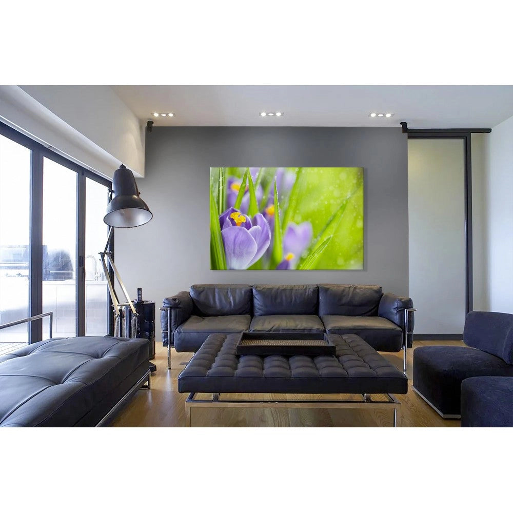 Fiori della Sorgente del Croco - Quadro Canvas su telaio in legno Misura: 140x100 cm
