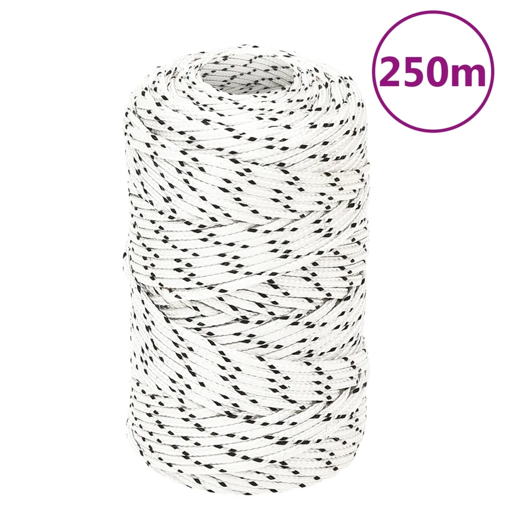 Corda | Fune Intrecciata per Barca Bianca 2 mm x 250 m Poliestere