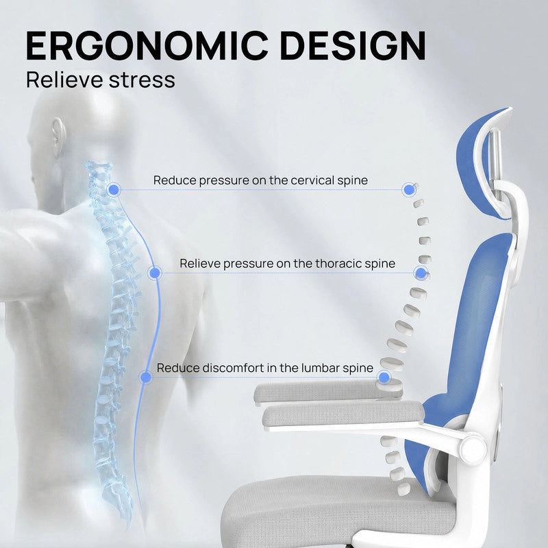 Sedia da ufficio ergonomica - Poltrona HAMLODY - con braccioli pieghevoli a 90° - Supporto lombare - Regolabile in altezza Grigio