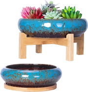 Grande vasca bonsai con set di tazza da tè da 2 - vasca colorata per piante di succulente - vasi ceramici per piante di cactus - vasca decorativa per giardino