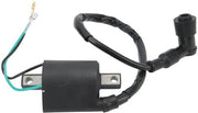 Bobina di Ricambio 6V - Modulo di Sostituzione 30400-107-007 - Adatto per CL90/CB125S - Rapida Risposta - Alta Intensità - Sostituzione Affidabile - Induttore di Accensione