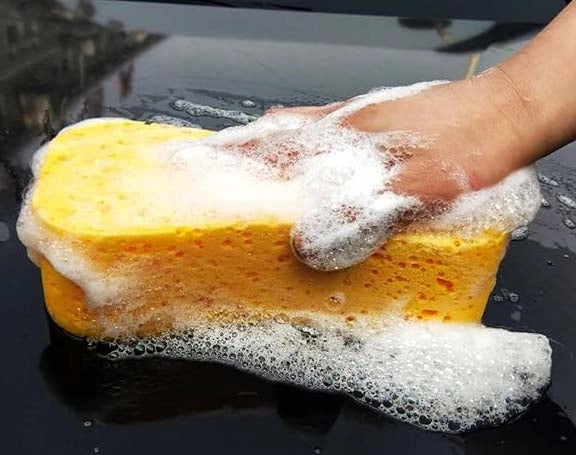 SPUGNA DOPPIA AZIONE 'WIZZY' AREXONS 17x11x7 cm - AREXONS