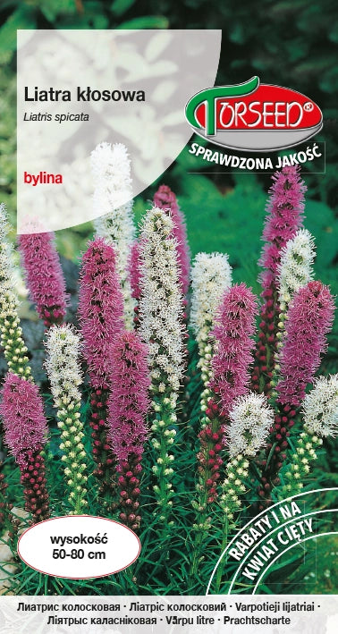 Liatris spicata - Miscela di Liatris spicata 0,2g