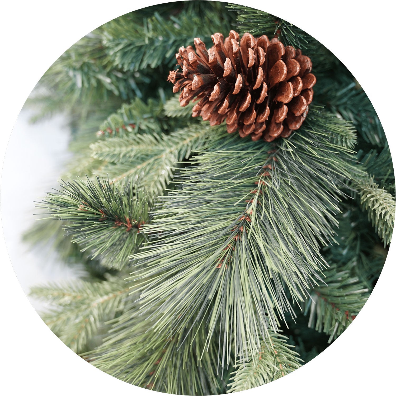 Albero di Natale Artificiale 240 cm Rami Pigna del Gargano Verde con Pigne