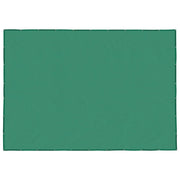 vidaXL Rete per Rimorchio Verde 3,5x5 m HDPE