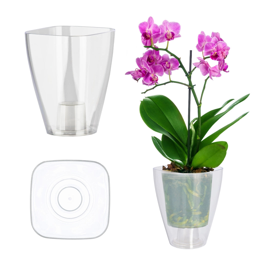 Coprivaso KADAX per orchidee, in plastica, trasparente, 13 cm