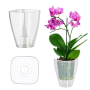 Coprivaso KADAX per orchidee, in plastica, trasparente, 13 cm