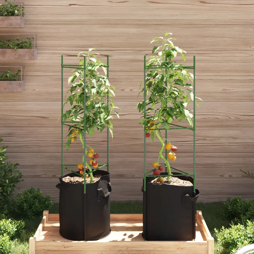 vidaXL Sostegno Pomodori con Sacchetto Piante 2pz 116 cm Acciaio e PP