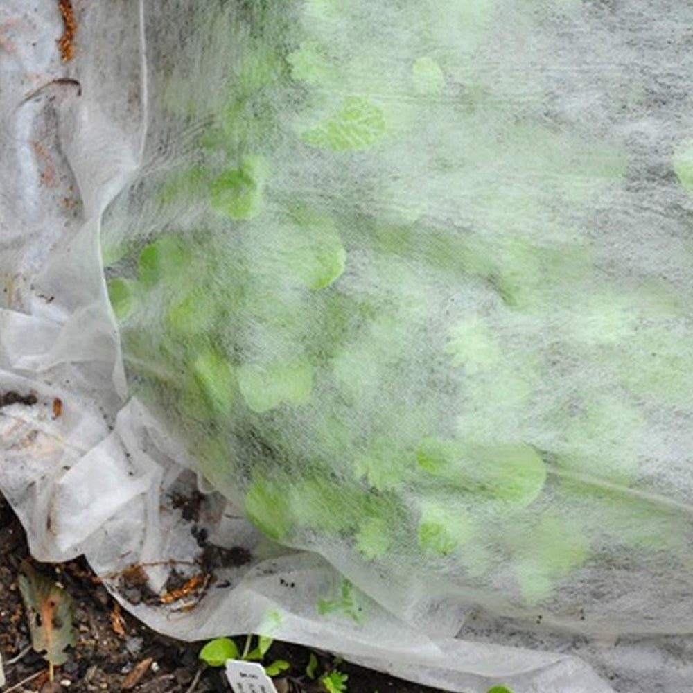 Tessuto non tessuto per giardinaggio h cm 160 x l metri 10 multipack 10 pezzi