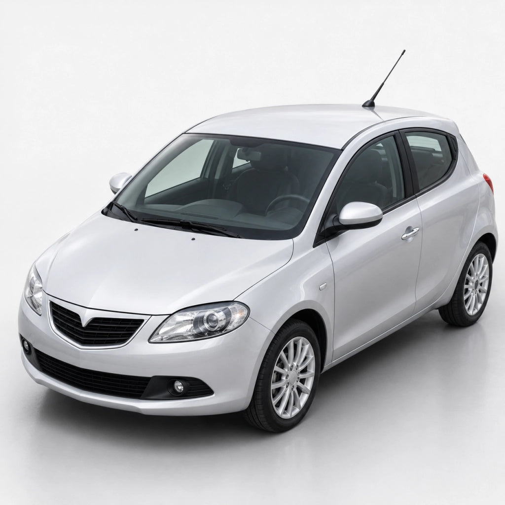 Antenna Autoradio FM/AM da Tetto Cavo 210 cm DIN Compatibile con Fiat, Lancia