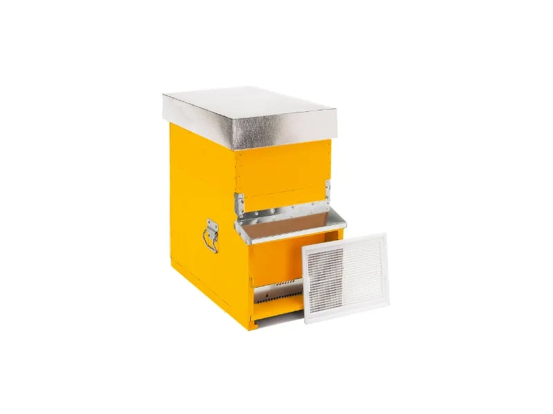1075A Arnia Dadant-Blatt 7 favi nomadismo fondo fisso antivarroa - Giallo