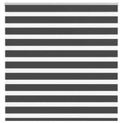 Tenda a Rullo Zebra Nero Larghezza Tessuto 140,9 cm Poliestere