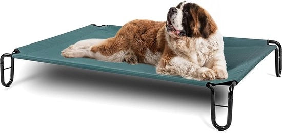 Letto per cani alto 48 x 33 x 20 cm, colore verde
