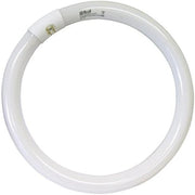 Lampadina circolare trifosforo fluorescente luce bianca 6500k *** watt 32 watt, confezione 1