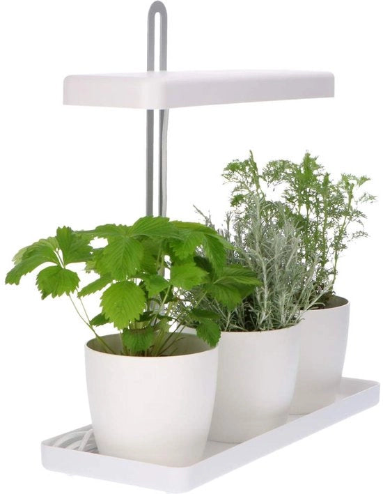 Luce per piante regolabile in altezza - 20 W - per giardino delle erbe