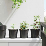 Vaso per Fiori 200 pcs Nero Ø 15 x 13 cm Plastica 42029495