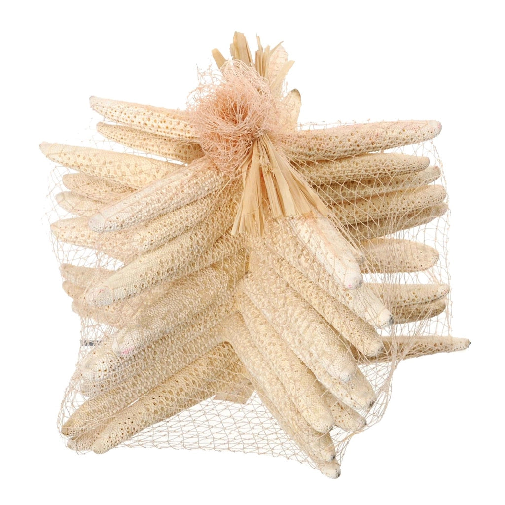Stelle Marine Sbiancata 10 Pz 15x20 cm