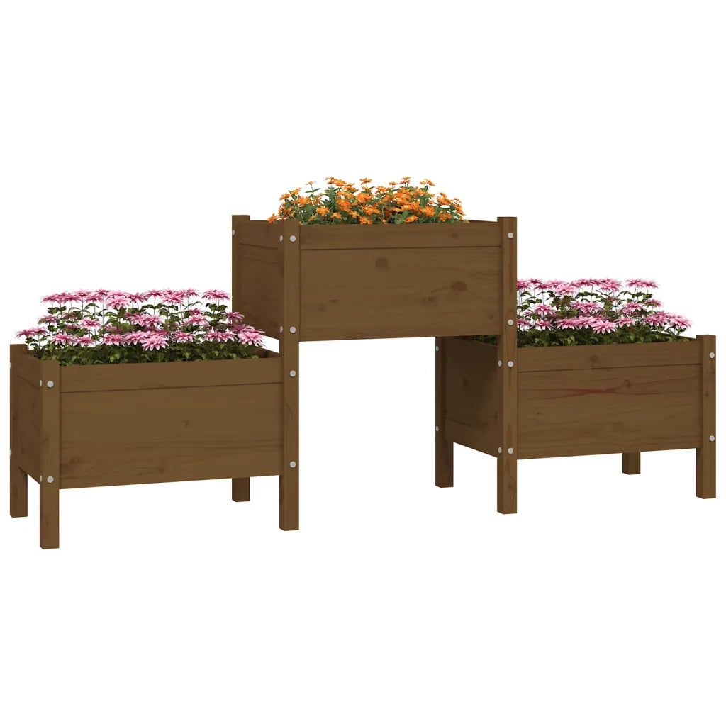 Fioriera Marrone Ambra 178,5x44x75 cm in Legno Massello di Pino 822250