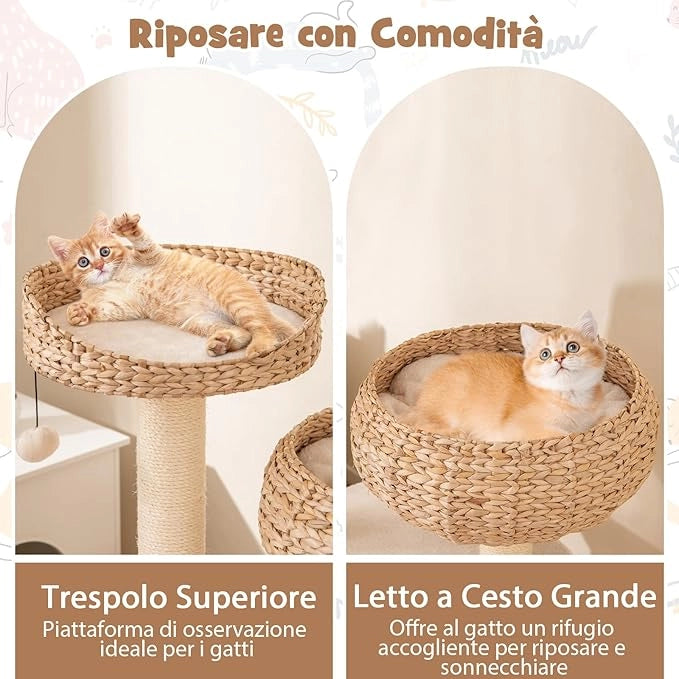 Tiragraffi per Gatti Piccoli, Tiragraffi con Cuccia, Piattaforma, Pallina e Palo in Sisal Naturale, Albero per Gatti da Divano, Salotto e Camera da Letto (Bianco)
