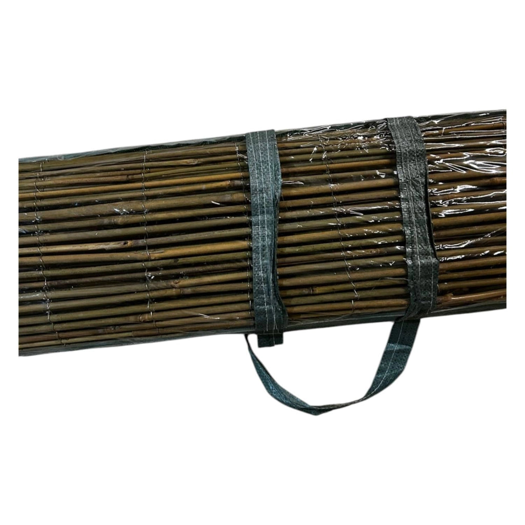 ARELLA IN BAMBOO CANNE 8/10 CA. MT 3X1,5