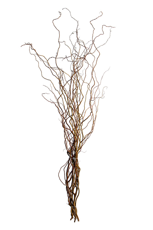 Set 20 Rami Naturali Salix 200 cm Nocciolo