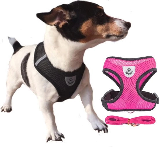 Cinturone Aria Rosa per Gatti e Cuccioli - Adattabile con Funzione Antitrazione, Dimensioni XS a XL